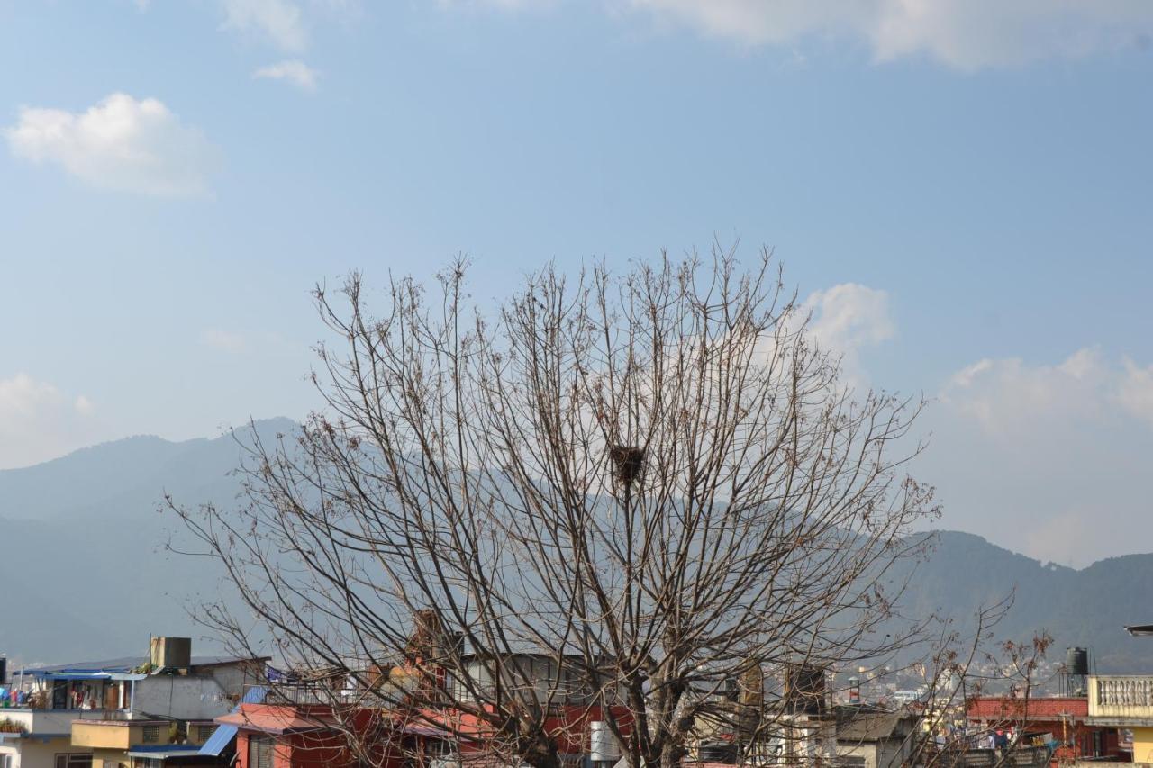 Fireflies Hostel Katmandu Zewnętrze zdjęcie
